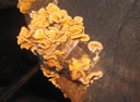 GCA3_152.jpg