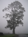 GCA3_158.jpg
