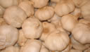 GCA3_74.jpg