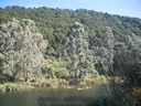 GCA3_91.jpg