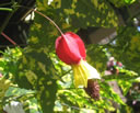 GCA3_94.jpg