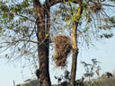 GCA2_162.jpg