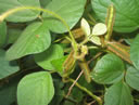 GCA4_02.jpg