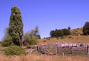 GCA4_126.jpg
