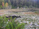GCA4_131.jpg