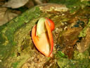 GCA4_145.jpg