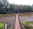 GCA4_149.jpg