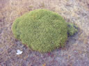 GCA4_71.jpg