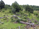 GCA4_79.jpg