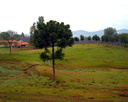 GCA5_107.jpg