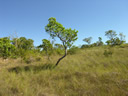GCA5_122.jpg