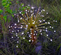 GCA5_124.jpg