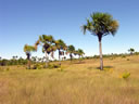 GCA5_127.jpg