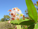 GCA5_128.jpg