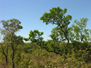 GCA5_131.jpg