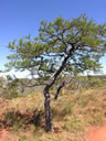 GCA5_146.jpg