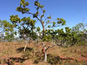 GCA5_147.jpg