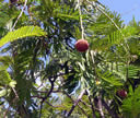 GCA5_161.jpg
