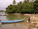 GCS117.jpg