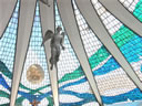 GCS2118.jpg