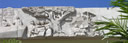 GCS2165.jpg