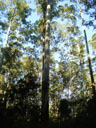 FE02_02.jpg