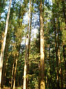 FE02_05.jpg