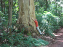 FE02_27.jpg