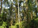 FE02_29.jpg