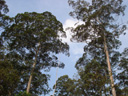 FE02_34.jpg