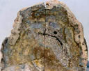 M125.jpg