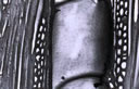 M1002.jpg