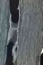 M1003.jpg