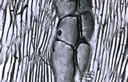 M1004.jpg