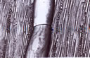 M1005.jpg