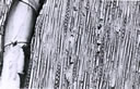M1006.jpg