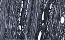 M1007.jpg