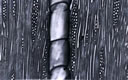 M1009.jpg