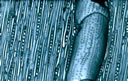 M1011.jpg