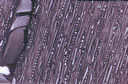 M1015.jpg