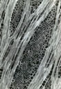 M1021.jpg