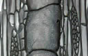 M1023.jpg