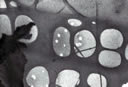 M1024.jpg