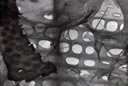M1025.jpg