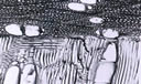 M302.jpg
