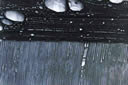 M305.jpg