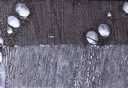 M307.jpg