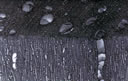 M315.jpg