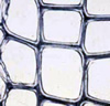 M507.jpg
