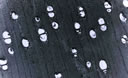 M605.jpg